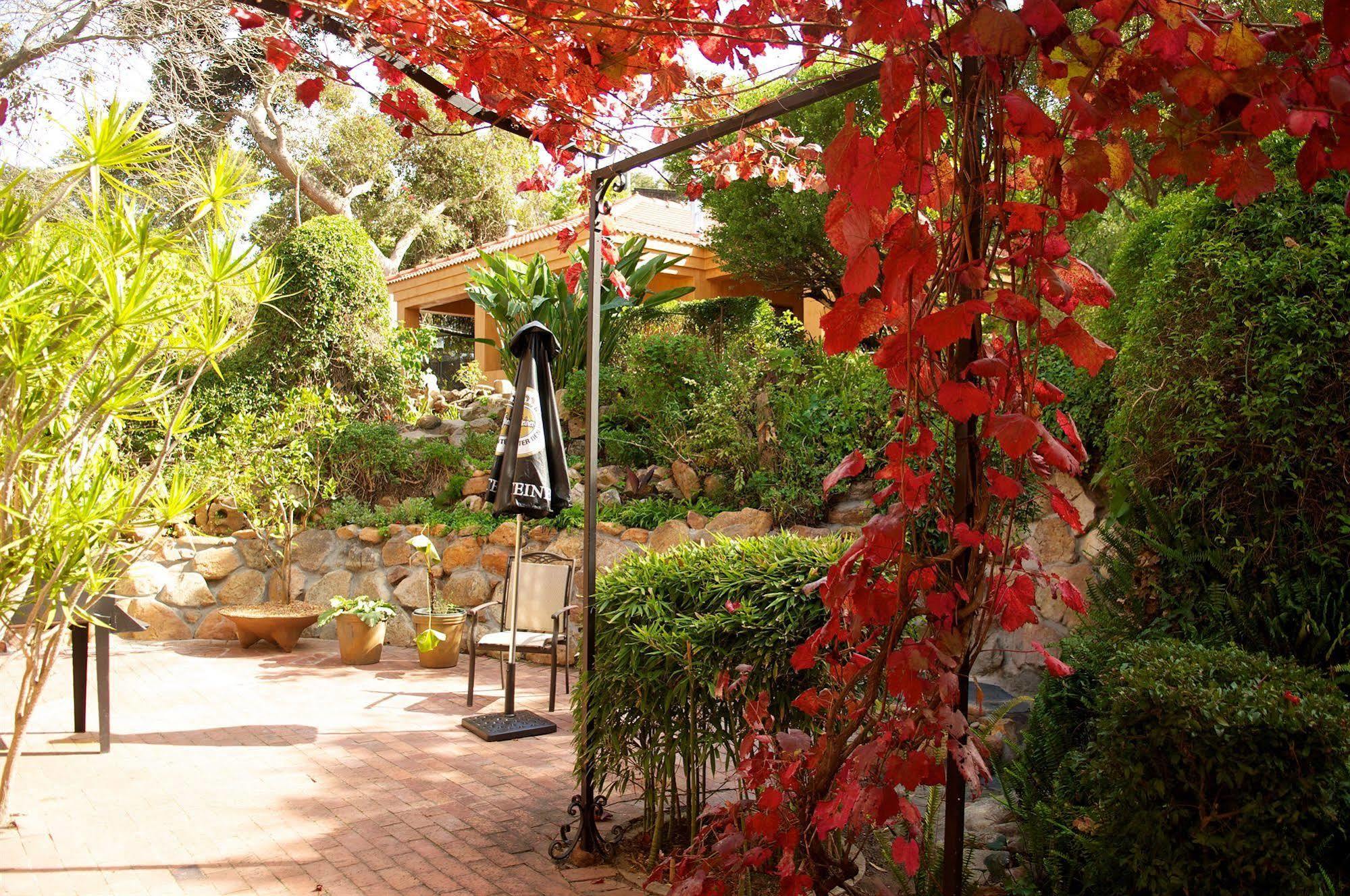 Cap Serein Guest House Cape Town Dış mekan fotoğraf