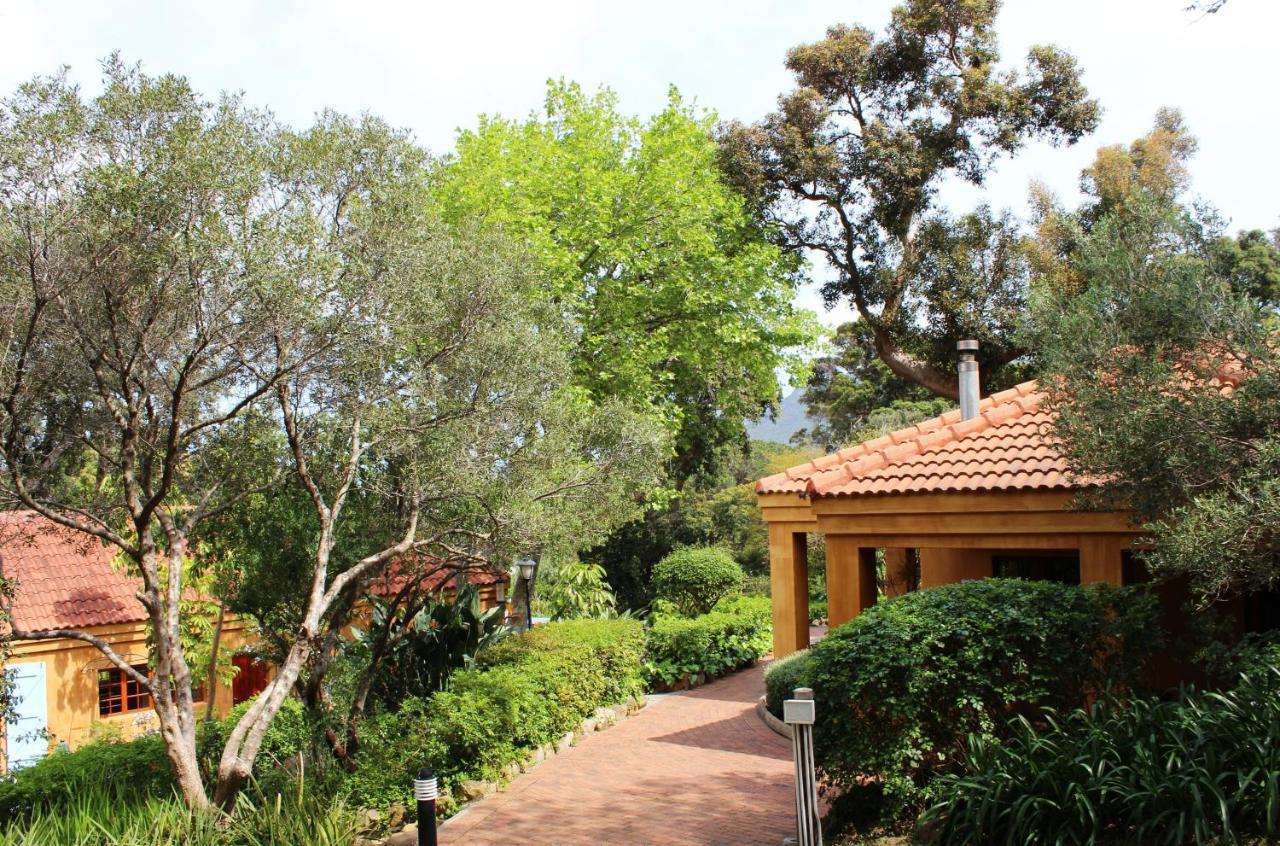 Cap Serein Guest House Cape Town Dış mekan fotoğraf