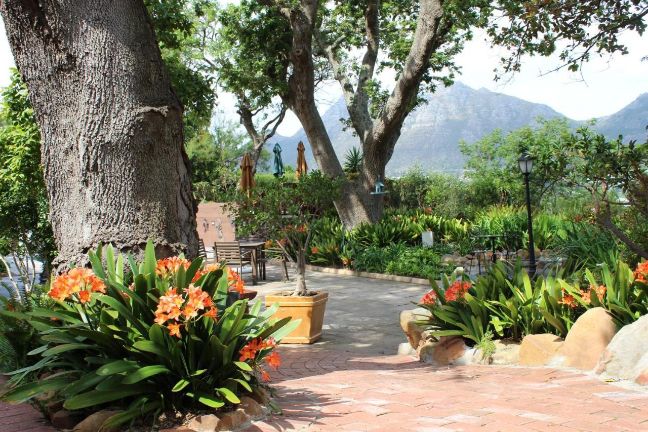 Cap Serein Guest House Cape Town Dış mekan fotoğraf